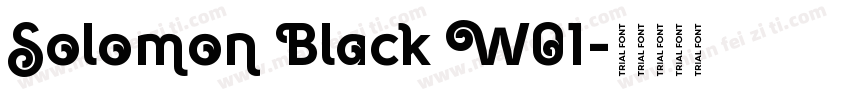 Solomon Black W01字体转换